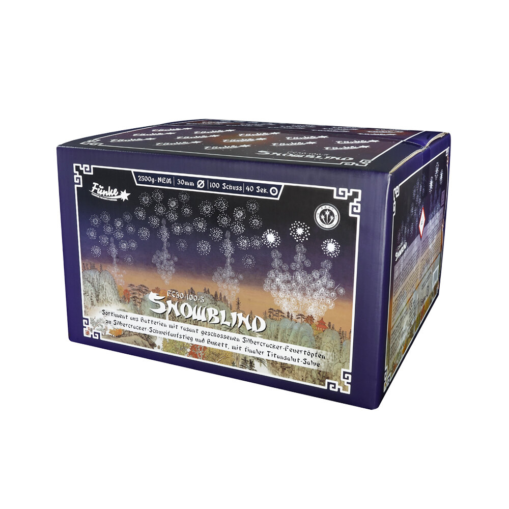 Funke Feuerwerk Batterie Snowblind 100 Verbund Feuerwerksbatterie Ber