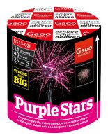Gaoo Batterie Punk You ehem. Purple Stars
