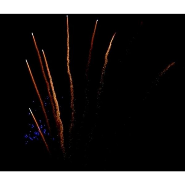 Pyrotrade Feuerwerk Single Row Gold Rain to Blue Comet with Blue mine zipper
