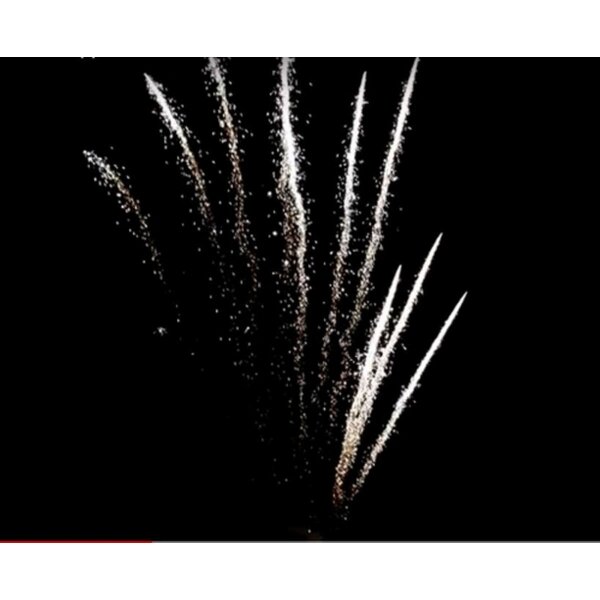 Pyrotrade Feuerwerk Single Row Time Rain Willow zipper