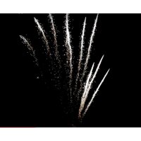 Pyrotrade Feuerwerk Single Row Time Rain Willow zipper