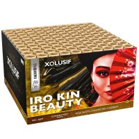 Silvester Feuerwerk XQlusiv IRO KIN BEAUTY Verbund von Lesli