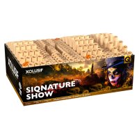 Silvester Feuerwerk Siqnature Show Verbund von Lesli