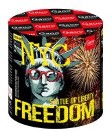 Gaoo Batterie Freedom ehem. Brocade Crown