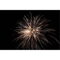 Nico Feuerwerk Batterie Gold Digger Joe