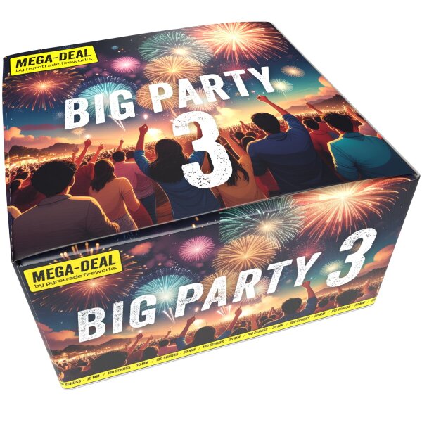 Silvester Feuerwerk Verbund Big Party 3 von Pyrotrade