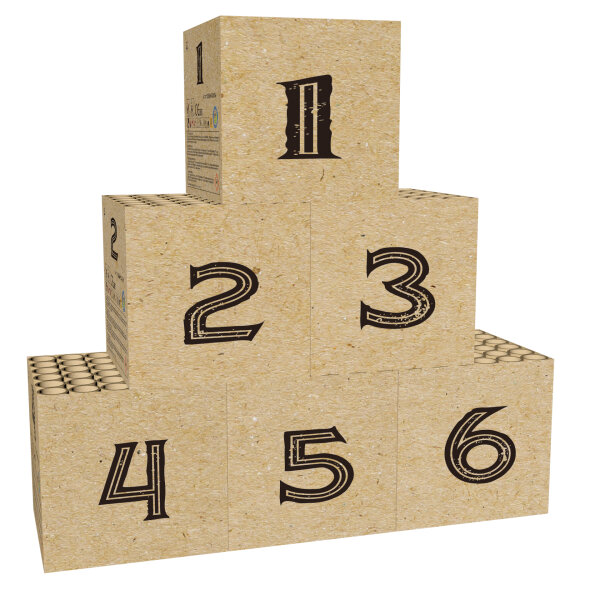 Broekhoff Magnum Feuerwerk Poker Batterie Sortiment