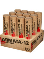 Silvester Feuerwerk Verbund Armata 12 von Lesli